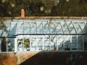 Bartley Glass Greenhouse Glass Birmingham Feature